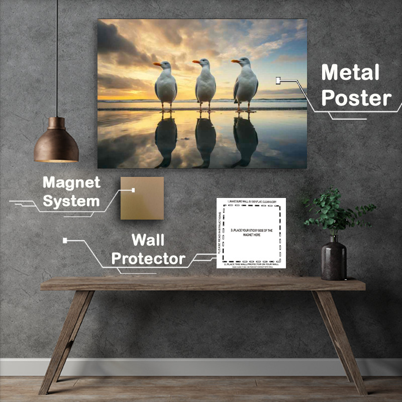 Buy Metal Poster : (three seaguls standing on a beach with reflection)