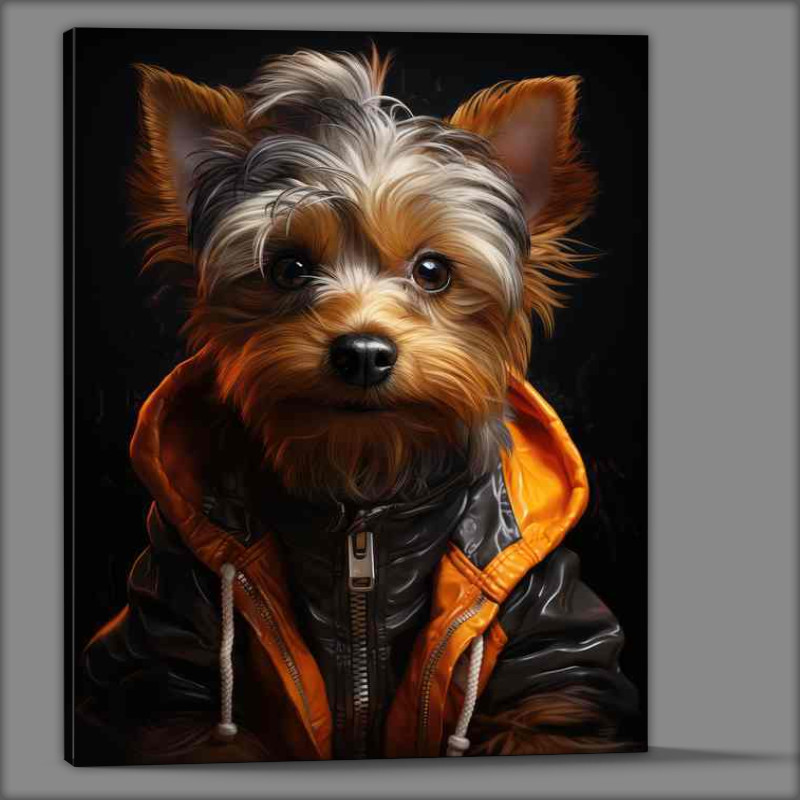 Buy Canvas : (Yorkshire terrier with a hoodie coat on)
