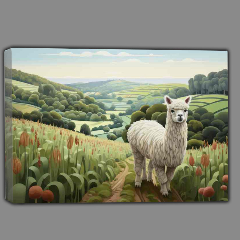Buy Canvas : (Alpaca In The Countryside on the hils)