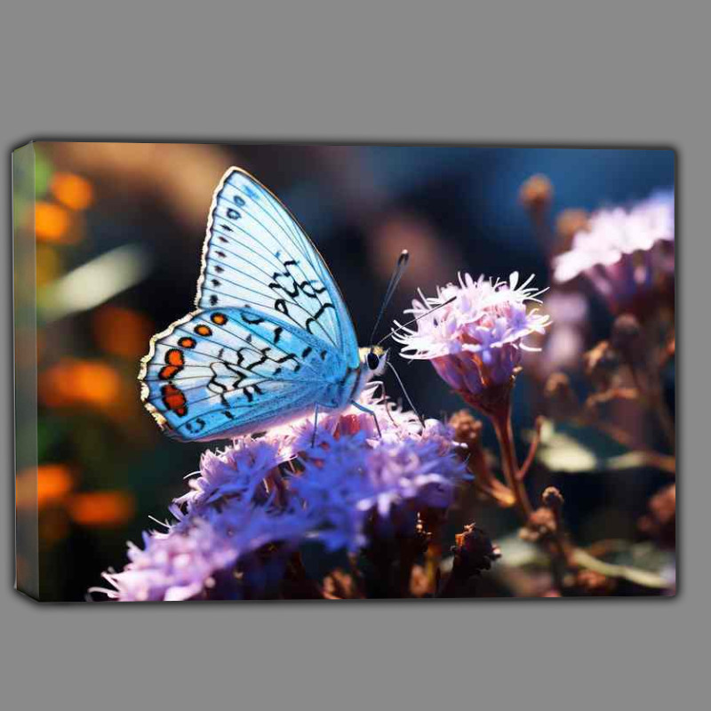 Buy Canvas : (Butterfly Attraction Purple Flower Blooms)
