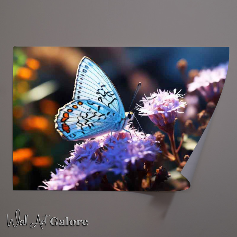 Buy Unframed Poster : (Butterfly Attraction Purple Flower Blooms)