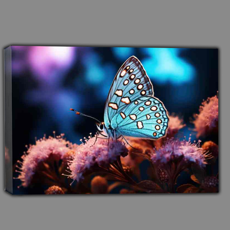 Buy Canvas : (Butterfly Quest Seeking Beauty in the Wild)