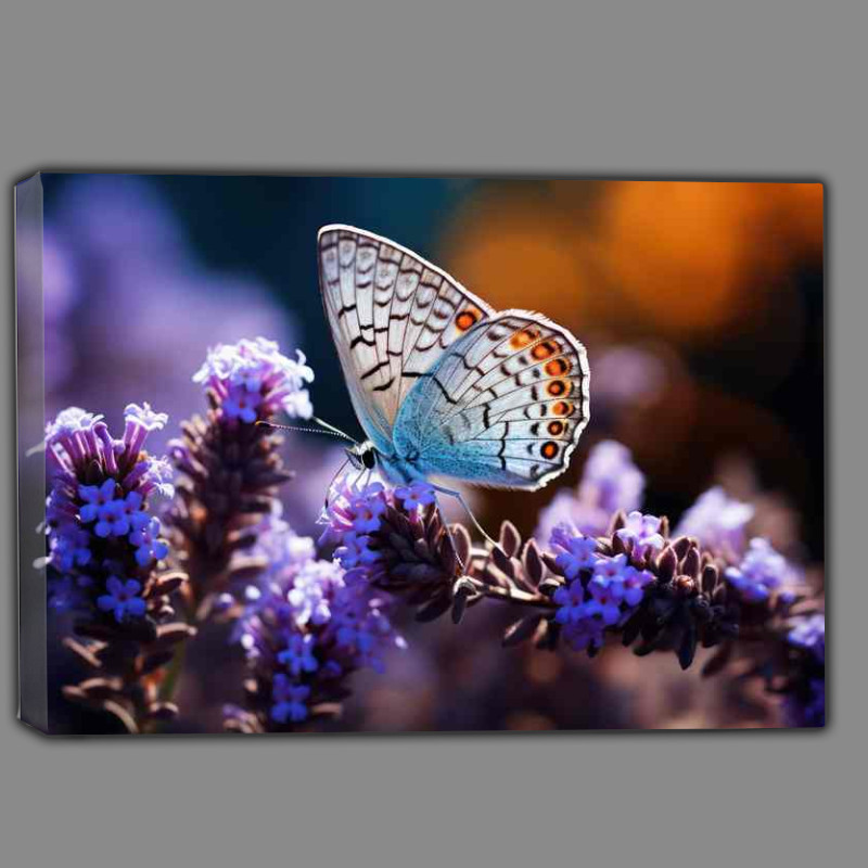 Buy Canvas : (In Full Bloom Butterflies Resting on Lovely Purple Petals)