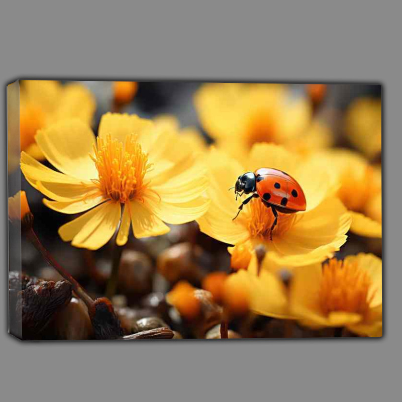 Buy Canvas : (In the World of Insects Ladybird's Leafy Perch)