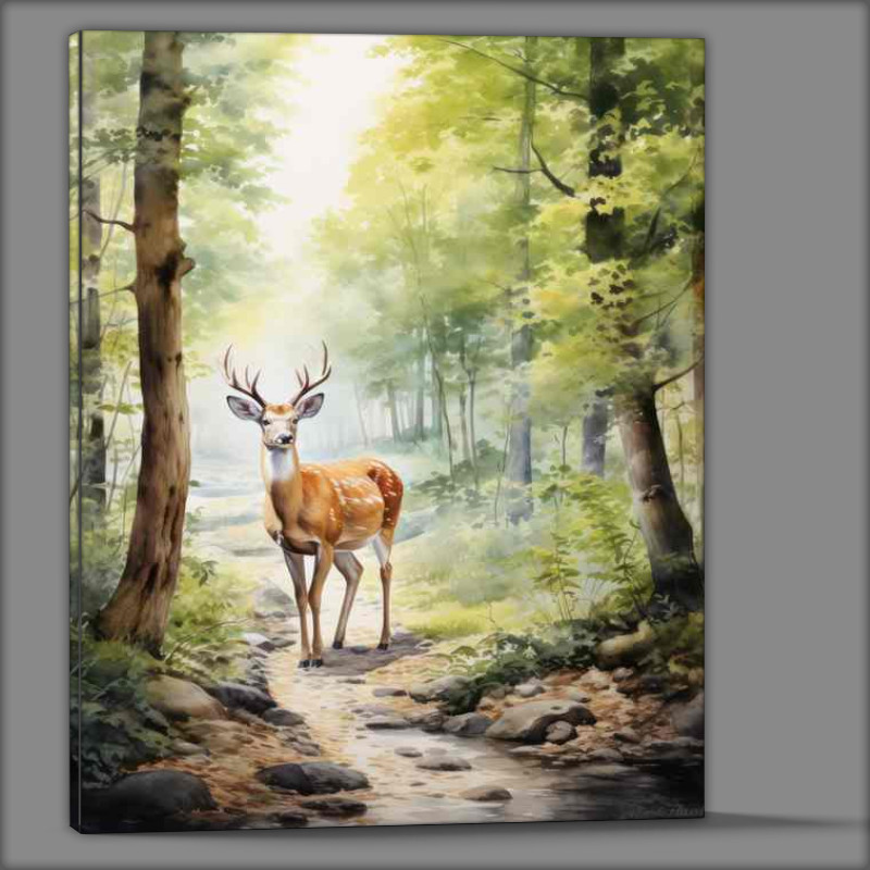 Buy Canvas : (A Day in the Life of a Woodsy Deer)