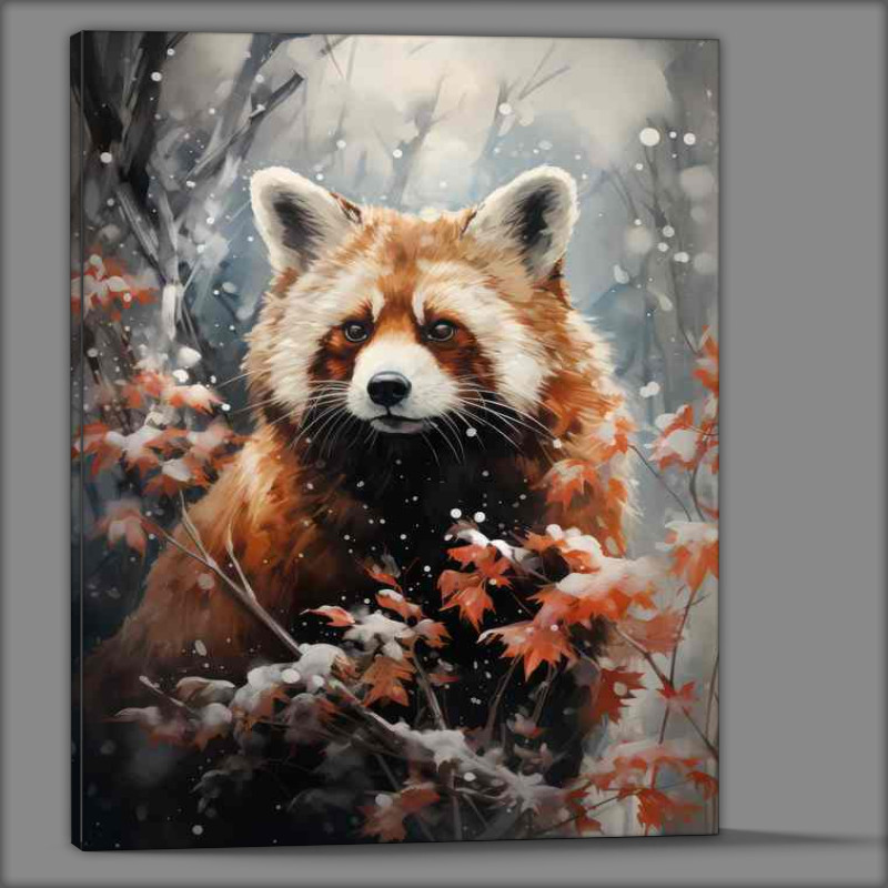 Buy Canvas : (Red Panda Bear in the winter snow drops)