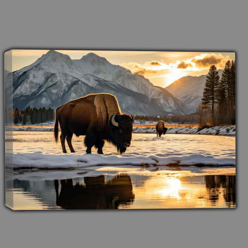 Buy Canvas : (Buffalo taking to drinking some water besides the mountains)