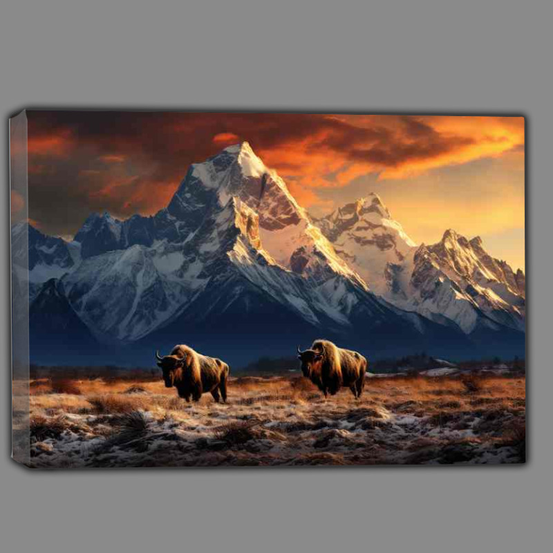 Buy Canvas : (Buffalows with a snowy mountain background walking the planes)