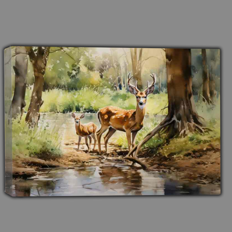 Buy Canvas : (Deer Diaries Tales from the Wilderness)