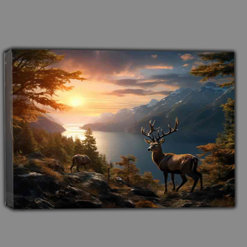 Buy Canvas : (Deer with the sunsert in the background)
