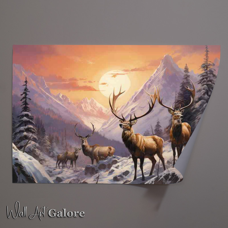 Buy Unframed Poster : (Elks an the mountain tops with a setting sun)