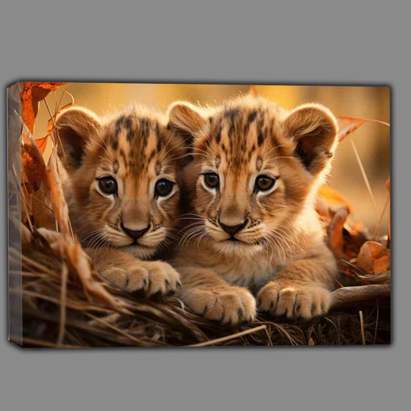Buy Canvas : (Lion cubs watching and been courious)