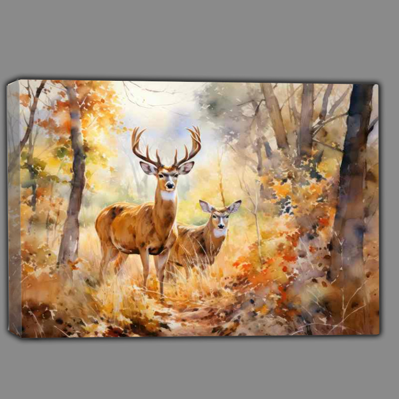 Buy Canvas : (Secrets of the Forest The Lives of Woodland Deer)