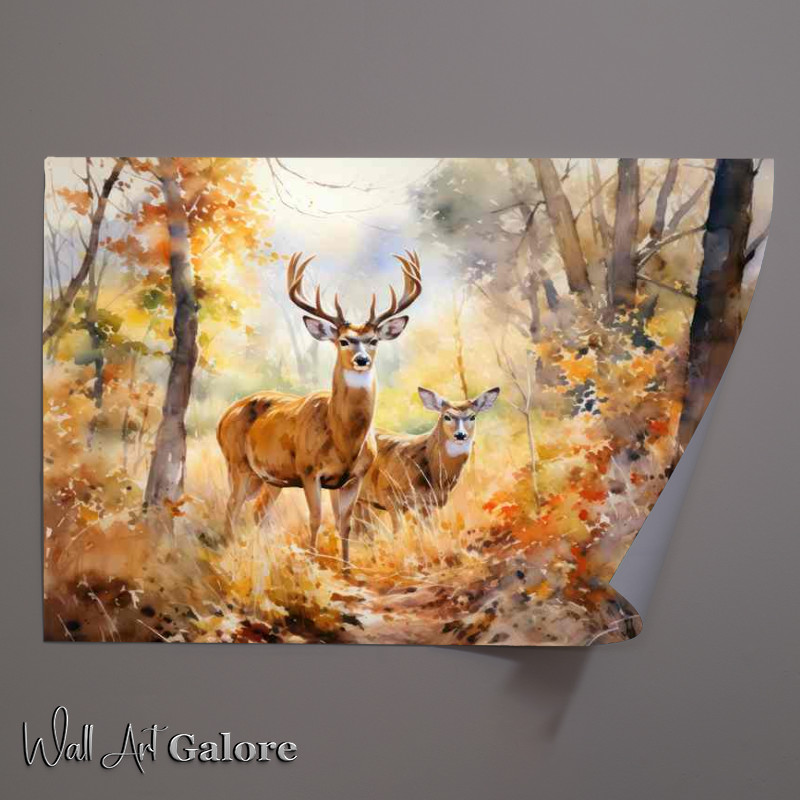 Buy Unframed Poster : (Secrets of the Forest The Lives of Woodland Deer)