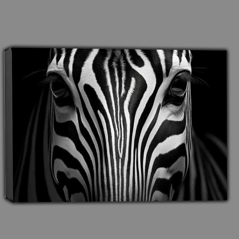 Buy Canvas : (Zebra head with amazing stripes)