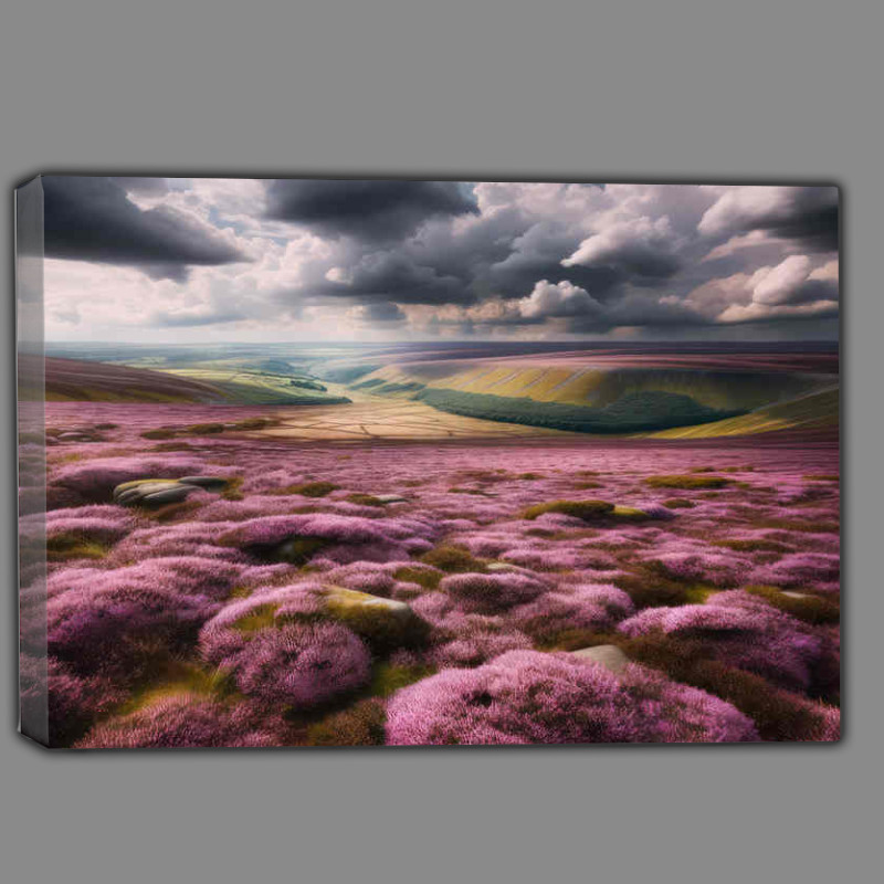 Buy Canvas : (Heather in the moorland in the summers sun)