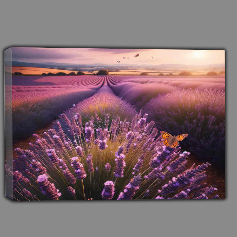 Buy Canvas : (Lavenders breeze in a british field filled with purples)