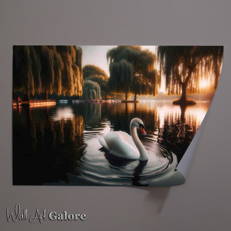 Buy Unframed Poster : (Swan Gliding on the lake)