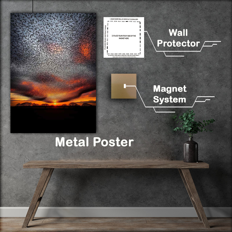 Buy : (Starlings Sunset Symphony Metal Poster)