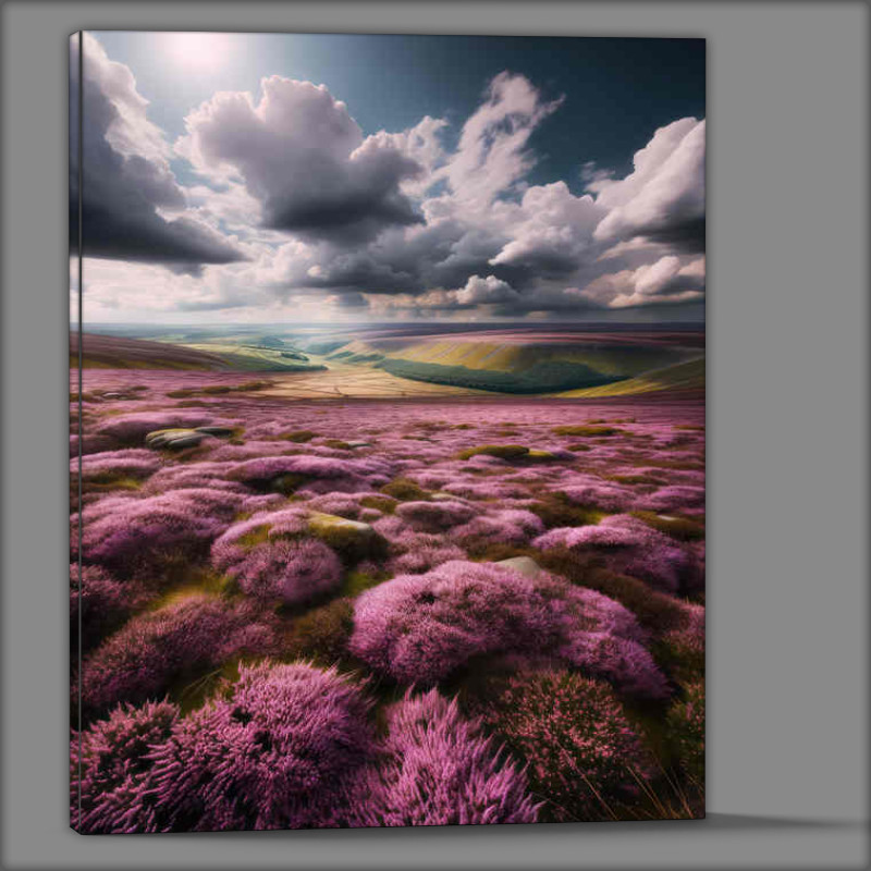 Buy Canvas : (British moorland covered in blooming purple heather)