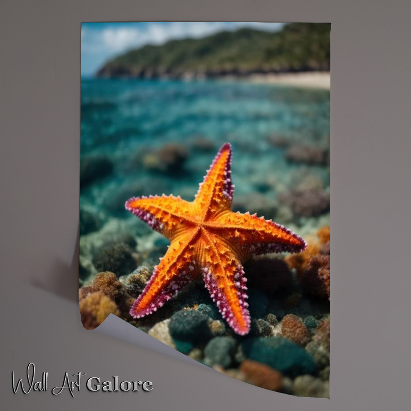 Buy Unframed Poster : (Single Starfish on a beach by the sea)