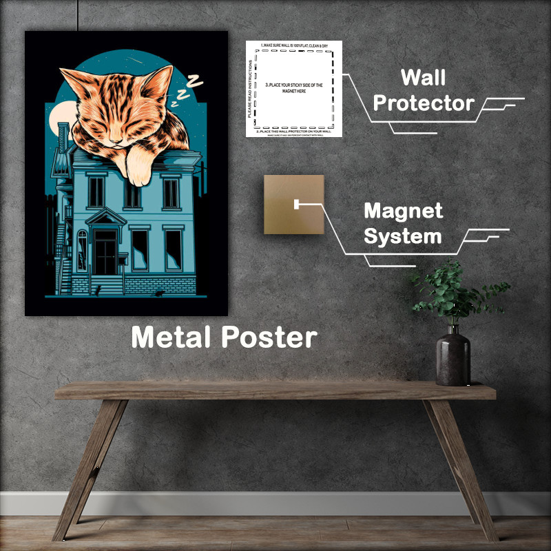 Buy Metal Poster : (Cat Nap on the roof)
