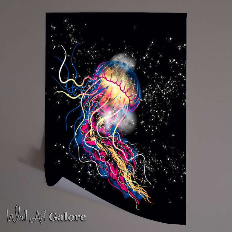 Buy Unframed Poster : (Jellyfish)