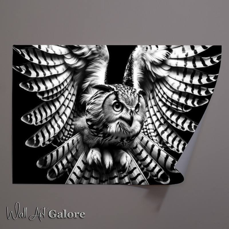 Buy Unframed Poster : (Monochrome Majesty of an owl in mid flight)