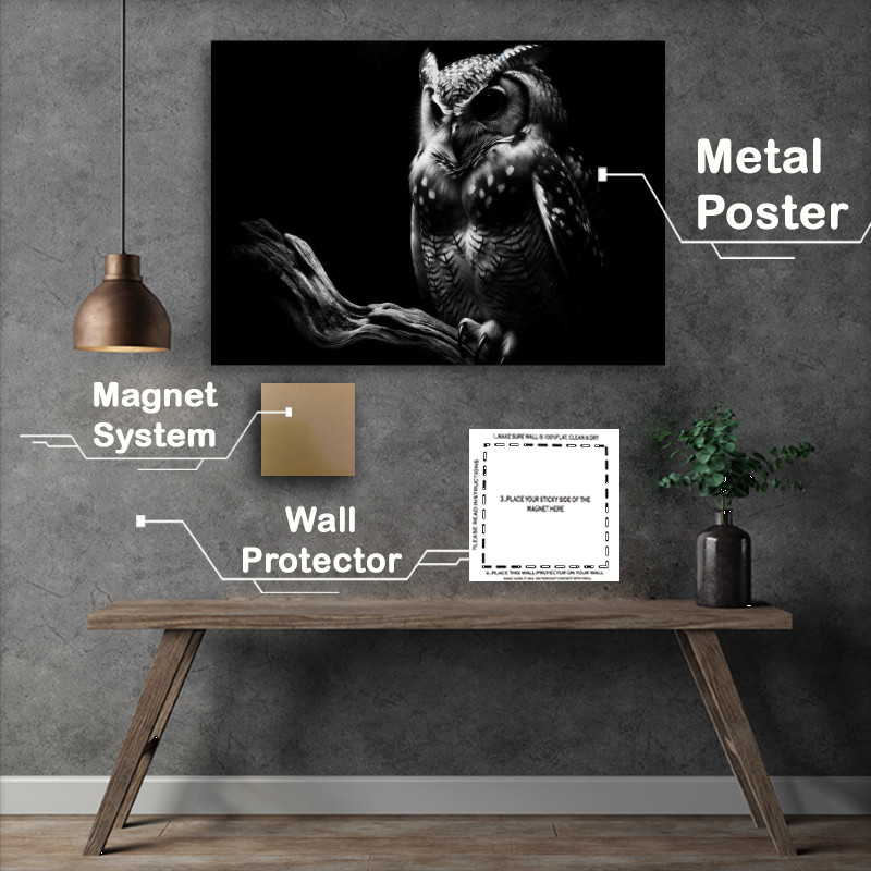 Buy Metal Poster : (Nocturnal Elegance capturing an owl perched on a branch)