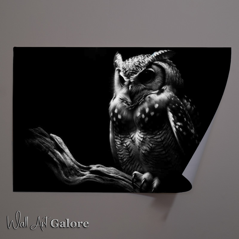 Buy Unframed Poster : (Nocturnal Elegance capturing an owl perched on a branch)