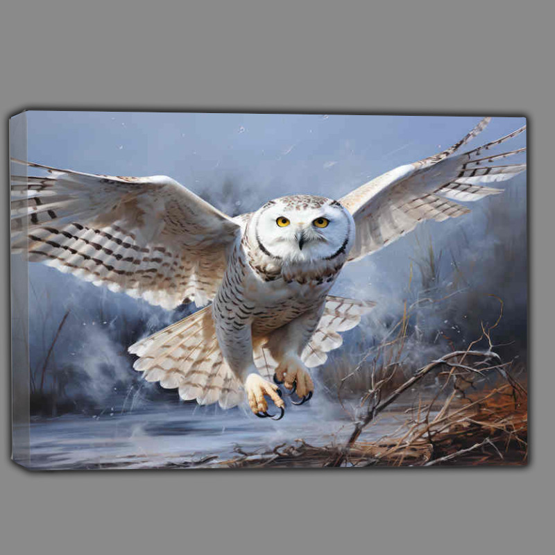 Buy Canvas : (Young Snowy Owl landing on a tree branch)