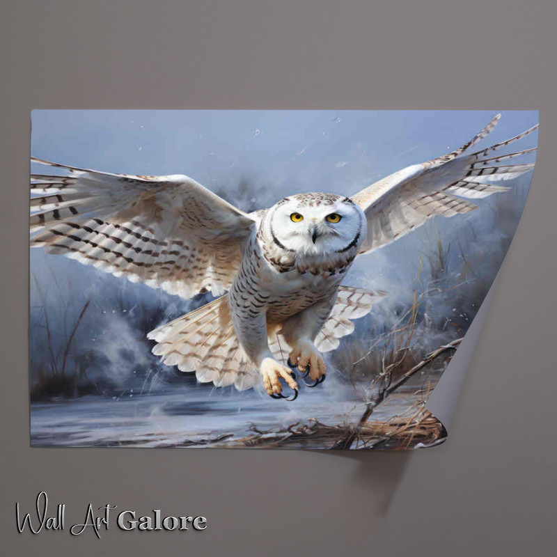 Buy Unframed Poster : (Young Snowy Owl landing on a tree branch)