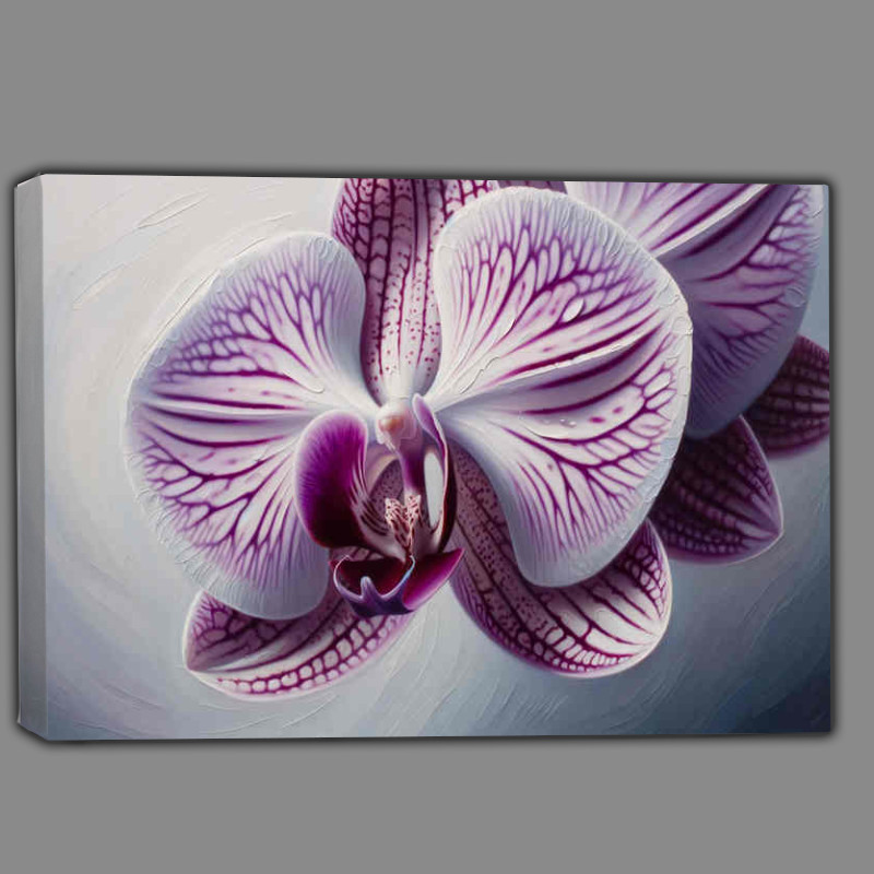 Buy Canvas : (Elegance a delicate orchid showcasing its intricate patterns)