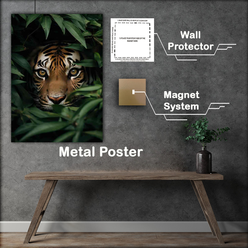 Buy Metal Poster : (Tigers face peeking out form the bushes)