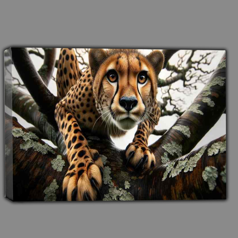 Buy Canvas : (Branching Prowess the cheetahs powerful physique)