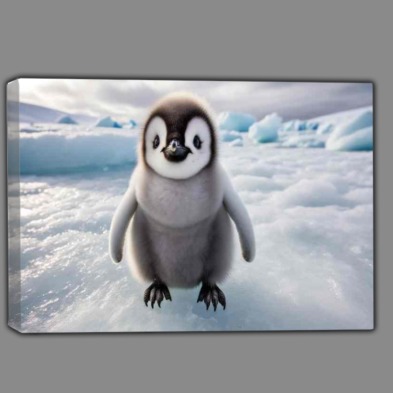 Buy Canvas : (Fluffy Feathered Friend a penguin chick with soft gray down)