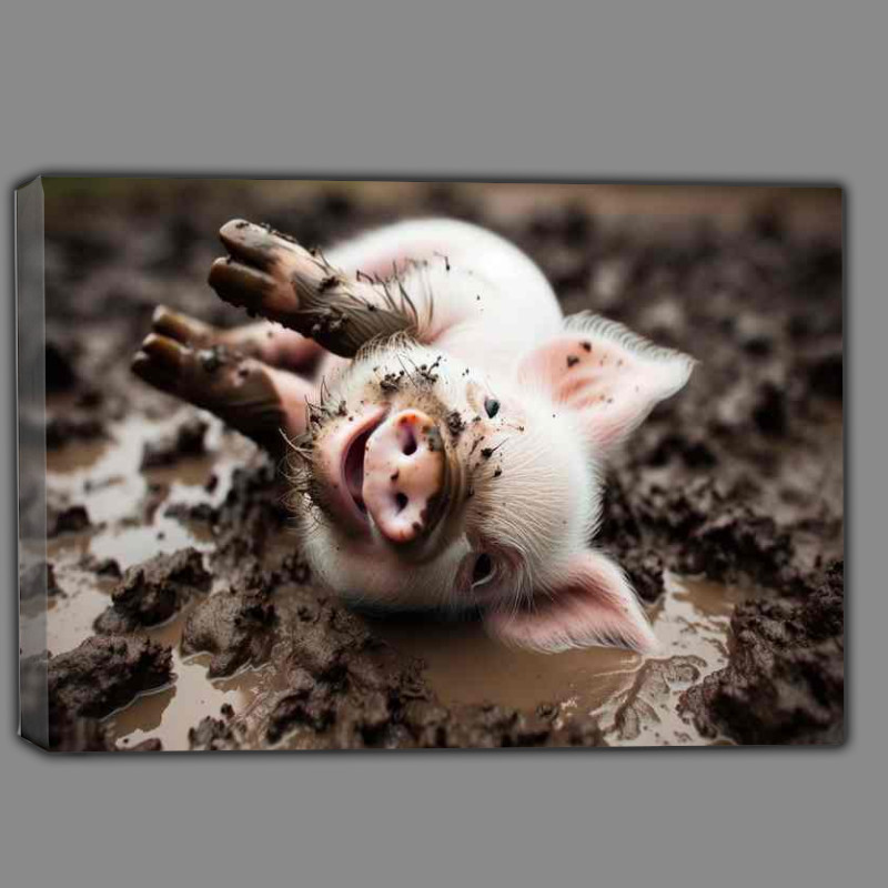 Buy Canvas : (Piglet Playtime a playful piglet rolling in the mud)