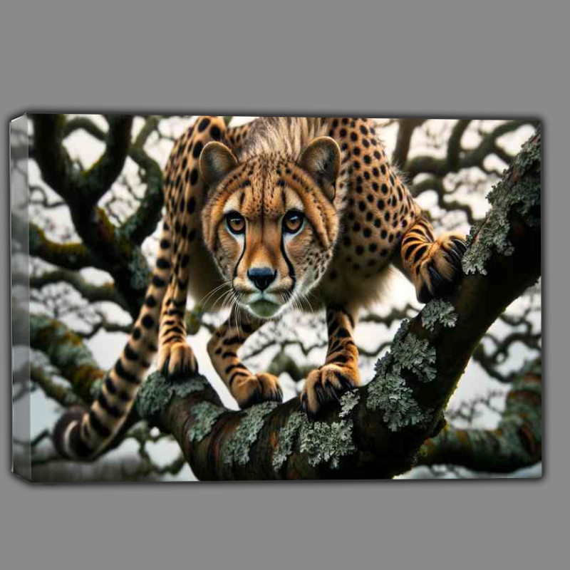 Buy Canvas : (Treetop Hunter the intricate patterns of a cheetahs coat)