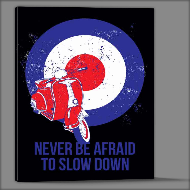 Buy Canvas : (Mods Never Be Afraid To Slow Down)