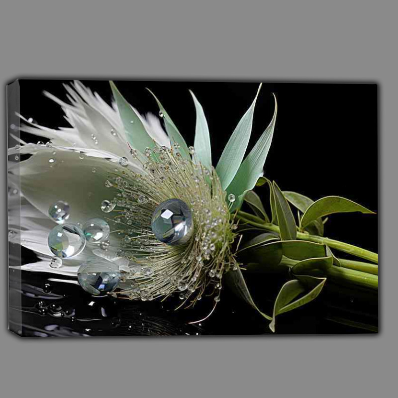 Buy Canvas : (A Photograph of a waterdroplet on a fearther)