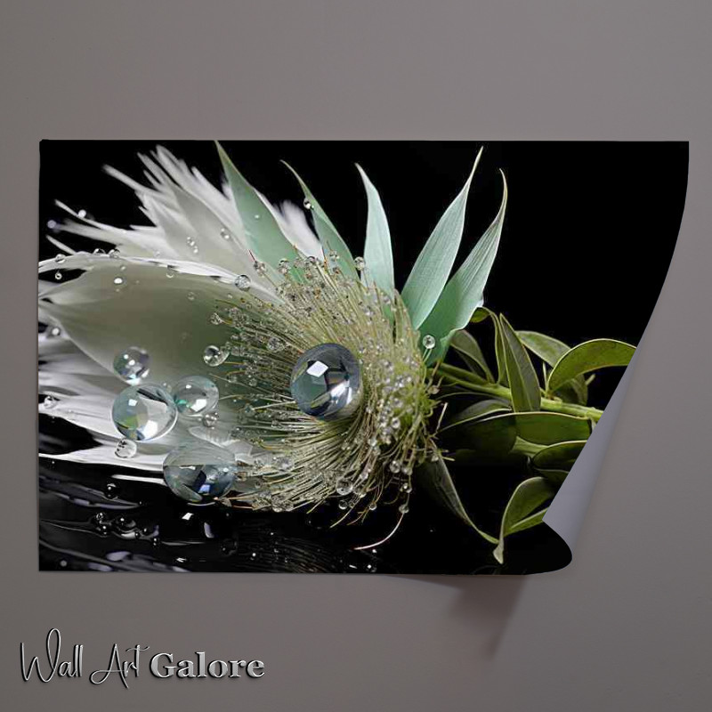 Buy Unframed Poster : (A Photograph of a waterdroplet on a fearther)