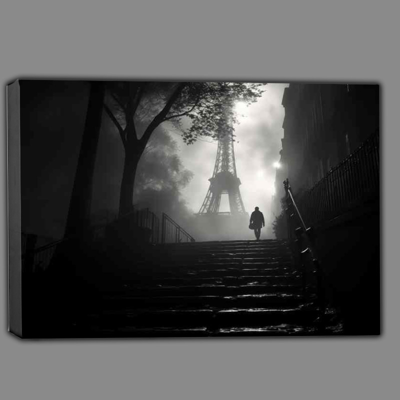 Buy Canvas : (Black And White Image Of Paris On The Stairrway)