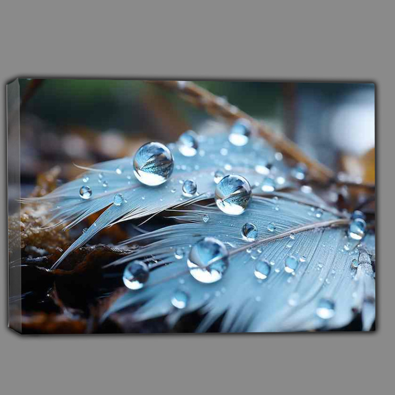 Buy Canvas : (Feathers and waterdroplets covering the ground)