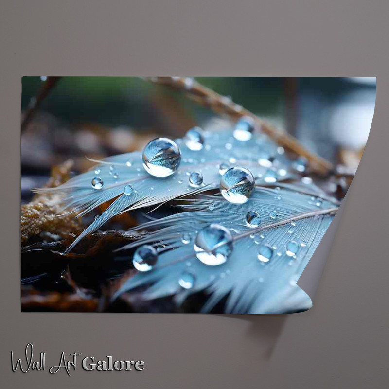 Buy Unframed Poster : (Feathers and waterdroplets covering the ground)