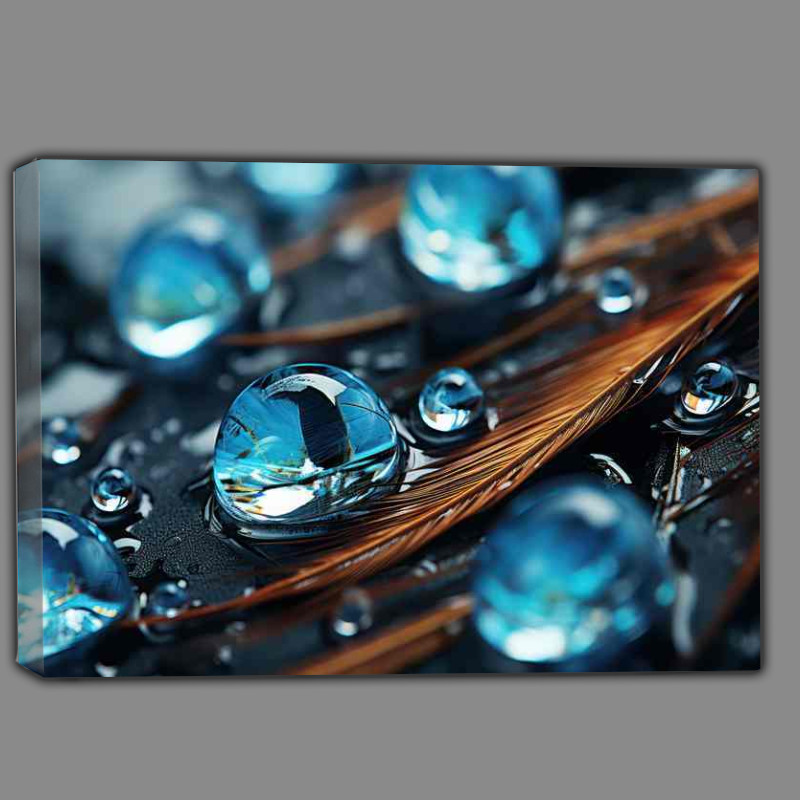 Buy Canvas : (Water droplets with peacock feathers overlaid the ground)