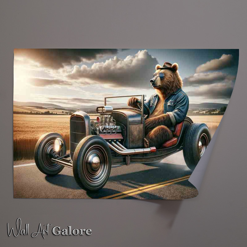 Buy Unframed Poster : (Bear Driving an American Hot Rod)