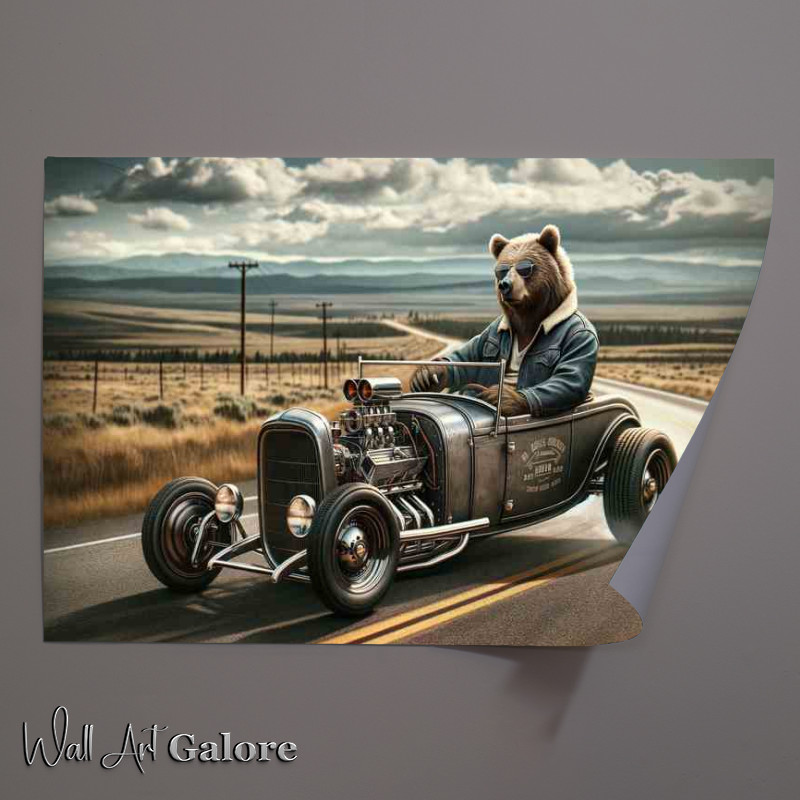 Buy Unframed Poster : (Solo Bear Driving an American Hot Rod)