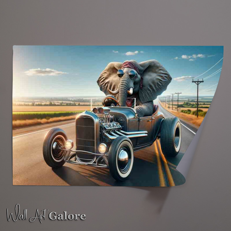 Buy Unframed Poster : (Solo Elephant Driving an American Hot Rod)