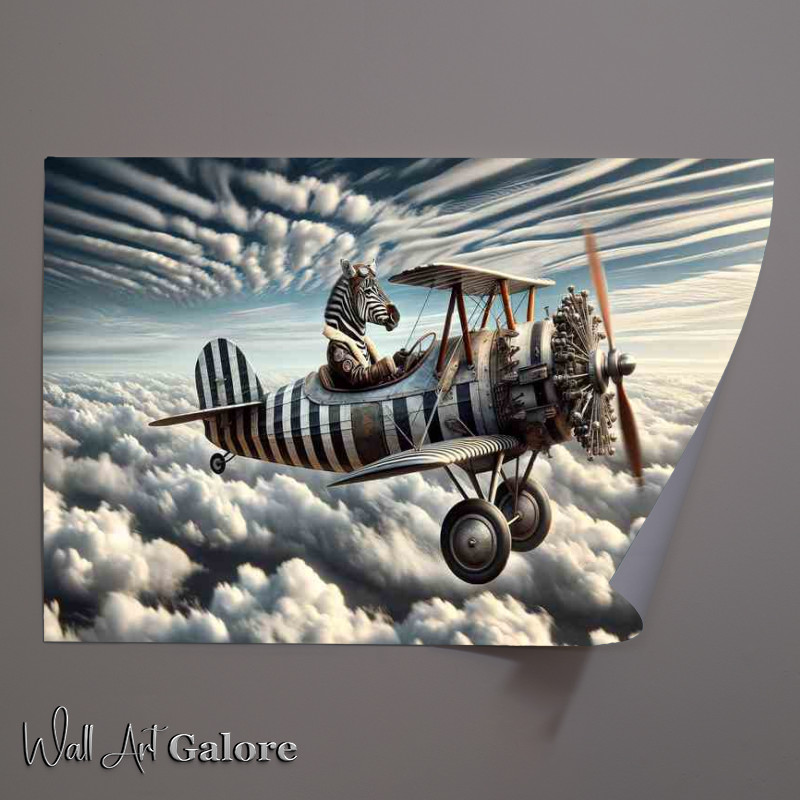 Buy Unframed Poster : (Zebra Piloting a Bi Plane with Spinning Propeller)