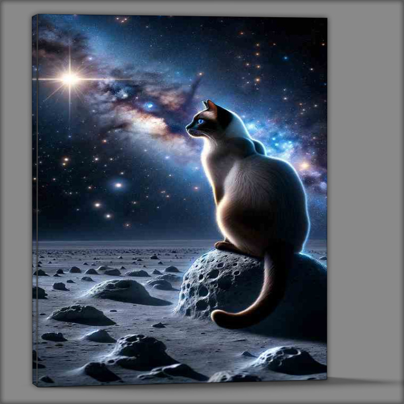 Buy Canvas : (Interstellar Siamese Cat Contemplating a Star Cluster)